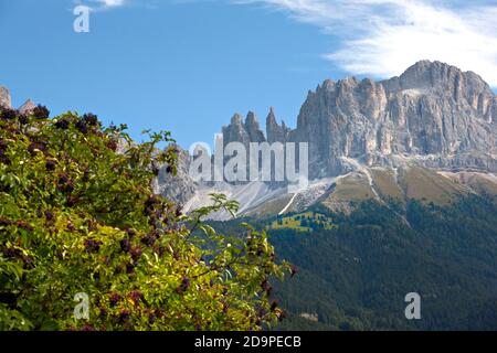 Rose Garden Gruppo di montagna, Tires, Tires, Alto Adige, Italia Foto Stock