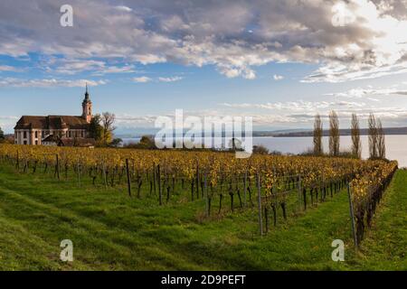 Europa, Germania, Baden-Wuerttemberg, Lago di Costanza, monastero di Birnau, chiesa di pellegrinaggio, cistercensi, in autunno Foto Stock