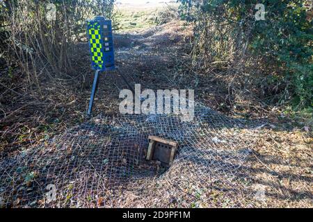 Sfratto di tasso di sdoganamento utilizzando recinzioni metalliche e cancelli di uscita a senso unico, parte del progetto HS2 vicino a Kenilworth, Warwickshire, Inghilterra, - Novembre 2020. Robot di sorveglianza Armadillo Videoguard utilizzati per osservare il sito e rilevare i manifestanti Foto Stock