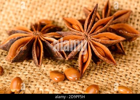 Anice stellato. Alcuni frutti di anice stellato con i semi. Macro primo piano sul tovagliolo di juta in stile rustico. Foto Stock