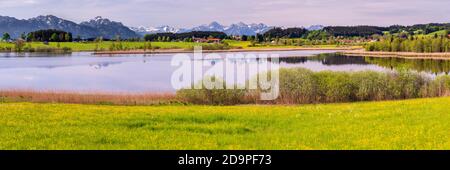Panorama Landschaft mit Berge im Allgäu bei Füssen Foto Stock