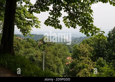 Scorcio del paesaggio del Parco della Burcina a Biella, Piemonte, Italia Foto Stock