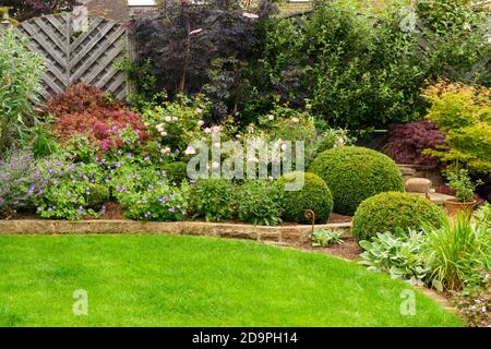 Giardino privato paesaggistico (design contemporaneo, fiori estivi, confine definito, piante, arbusti, palloni, parete, recinzione, prato) - Yorkshire, Inghilterra UK. Foto Stock