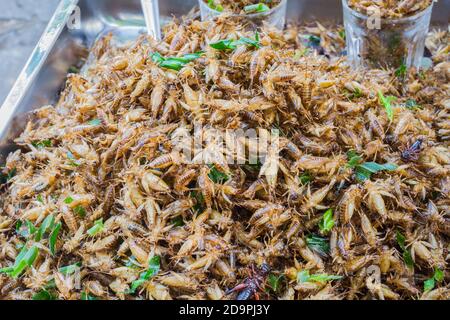 Pronti a mangiare i cricket fritti venduti nel mercato tailandese. Foto Stock