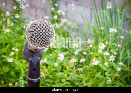 microfono sullo sfondo di giardino sfocato con fiori bianchi e copyspace sulla destra. Foto Stock