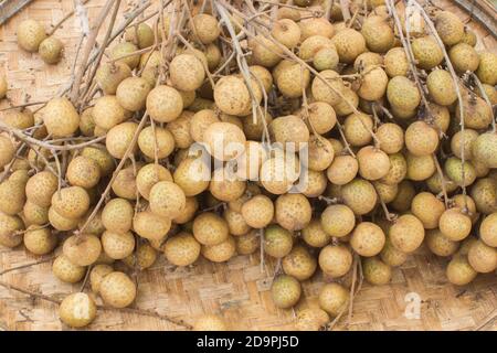 frutteti di frutta longan closeup in cesto di trebbiatura, fuoco morbido. Foto Stock