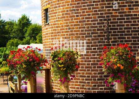 Fiori splendidamente disposti di fronte a pareti di mattoni rotondi a. Una strada nel villaggio di Sellinge, Kent, UK, Agosto 2016 Foto Stock