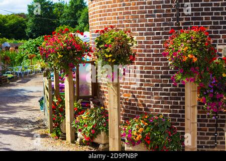 Fiori splendidamente disposti di fronte a pareti di mattoni rotondi a. Una strada nel villaggio di Sellinge, Kent, UK, Agosto 2016 Foto Stock
