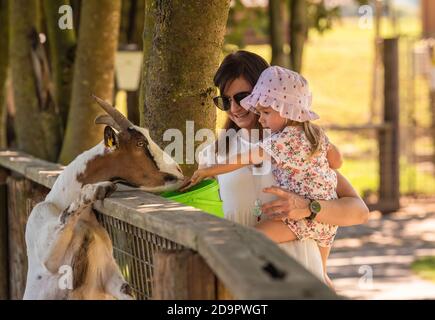 Felice bambino tenere da madre che alimenta una capra in terra di fattoria. Foto Stock