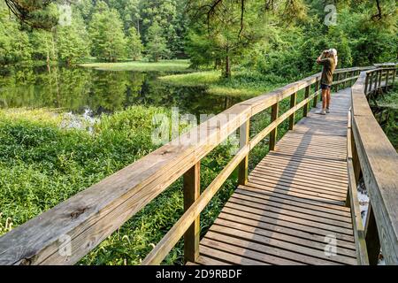 Louisiana Northshore, Mandeville, Northlake Nature Center Walk Raised Boardwalk, donna binocolo birdwatcher birdwatcher birdwatcher, Foto Stock