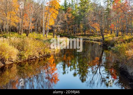 Il fiume Millers nell'area ricreativa del lago Dennison a Winchendon, Massachusetts Foto Stock