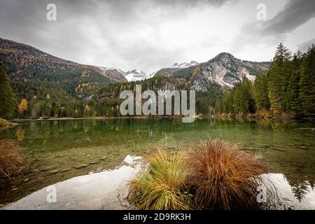 Lago di Tovel, piccolo e bellissimo lago delle Alpi Italiane, Parco Nazionale dell'Adamello Brenta. Trentino Alto Adige, provincia Trento, Italia. Foto Stock