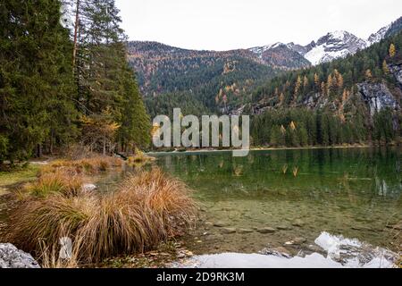 Lago di Tovel, piccolo e bellissimo lago delle Alpi Italiane, Parco Nazionale dell'Adamello Brenta. Trentino Alto Adige, provincia Trento, Italia. Foto Stock