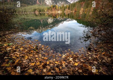 Lago di Tovel, piccolo e bellissimo lago delle Alpi Italiane, Parco Nazionale dell'Adamello Brenta. Trentino Alto Adige, provincia di Trento, Italia, Europa. Foto Stock