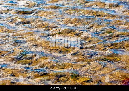 Un'immagine astratta delle increspature create dal vento sulla superficie dell'acqua di un rossone sulla spiaggia. Foto Stock