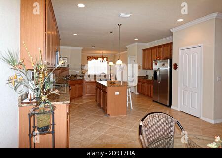 Cucina moderna con pavimenti in legno e cabinetry, ripiani in granito e una  accesa la luce a soffitto Foto stock - Alamy