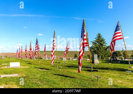 Bandiere americane sul cimitero Foto Stock