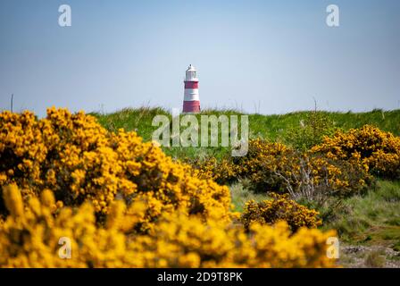 Il faro di Orford Ness sulla costa di Suffolk, Regno Unito Foto Stock