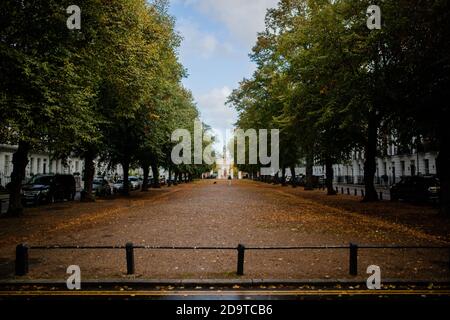 Paesaggio Vista di un lungo percorso circondato da alberi e. Foglie cadute Foto Stock