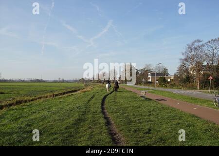 Paesaggio pascolo. Prati, strada con ruote, strada, pista ciclabile e le case del villaggio olandese di Bergen. Due cavalieri su un cavallo. Paesi Bassi Foto Stock