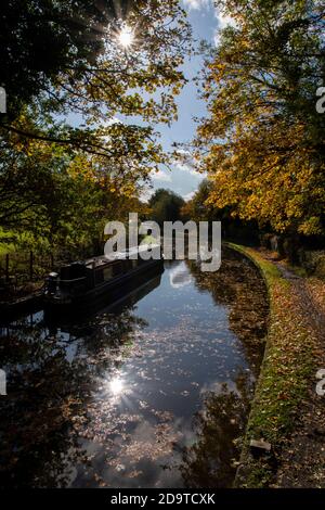 un canale con i colori autunnali tra gli alberi e. L'acqua ancora dei canali storici di Dudley con una barca sul canale ancorata sul lato Foto Stock
