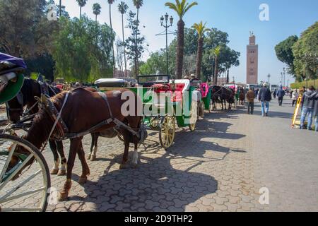 Cavalli in carrozze a Cavallo in attesa di clienti sul percorso thу tra moschea Koutoubia e piazza Djemaa el Fna Foto Stock