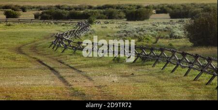 Un recinto ferroviario e buck nel Grand Teton National Park nel Wyoming, Stati Uniti. Foto Stock