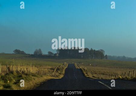 Strada vuota che si estende all'orizzonte circondato da campi e. alberi sotto un cielo blu Foto Stock