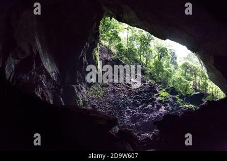 Camera e ingresso della Grotta del Cervo, del Parco Nazionale di Mulu, Sarawak Foto Stock