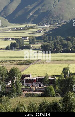 Prati montani visti da un passo di montagna, tra Samei e Damba, Provincia occidentale di Sichuan, Cina 30 luglio 2010 Foto Stock