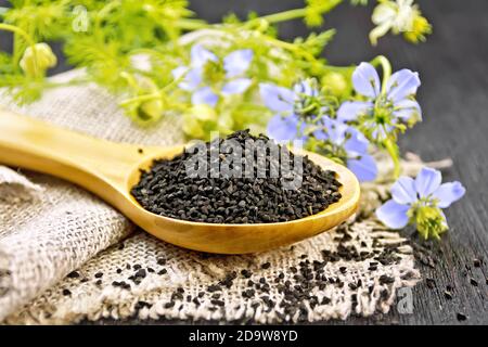 Semi di cumino nero in un cucchiaio di insaccatura, il kalingi si torce con fiori blu e foglie verdi su uno sfondo di legno Foto Stock