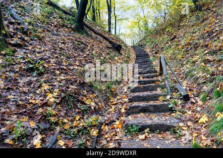 Un'antica scalinata in pietra, cosparsa di foglie cadde, conduce sul pendio della foresta autunnale. Foto Stock