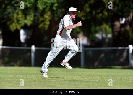 8 nov 2020. Benalla Bushrangers over Sixties contro Wodonga. Foto Stock