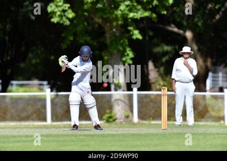 8 nov 2020. Benalla Bushrangers over Sixties contro Wodonga. Foto Stock