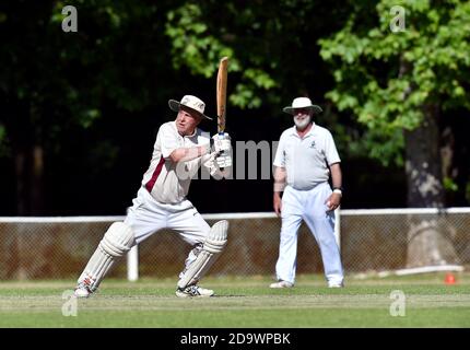 8 nov 2020. Benalla Bushrangers over Sixties contro Wodonga. Foto Stock