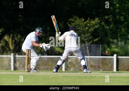 8 nov 2020. Benalla Bushrangers over Sixties contro Wodonga. Foto Stock