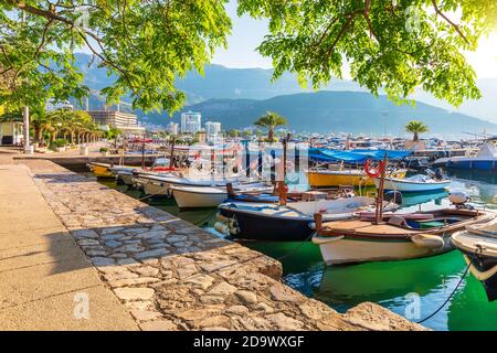 Barche e yacht a Dukley Marina, Budva, Montenegro Foto Stock