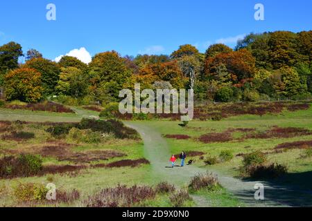 Persone che camminano lungo il Ridgeway, attraverso la Old Rifle Range a Cadsden, Buckinghamshire, Regno Unito. Colori autunnali, caduta, foglie rustiche Foto Stock