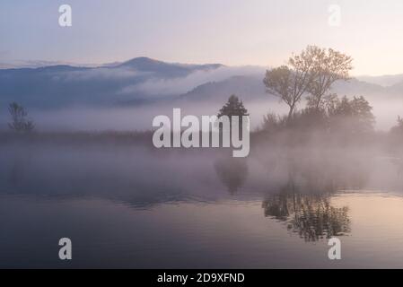 Alberi e nebbia riflessa sul fiume Adda durante un calmo e freddo alba autunnale con fogliame Foto Stock