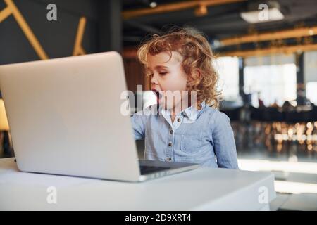 Bambino intelligente in abiti casual utilizzando un computer portatile per scopi didattici o divertimento Foto Stock