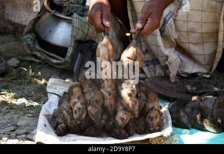 Guwahati, Assam, India. 7 Nov 2020. Un venditore vende carne di ratto in un mercato settimanale tra pandemie di coronavirus a Kumarikata nel distretto di Baksa di Assam India domenica 8 novembre 2020 Credit: Dasarath Deka/ZUMA Wire/Alamy Live News Foto Stock