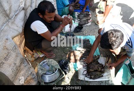 Guwahati, Assam, India. 7 Nov 2020. Un venditore vende carne di ratto in un mercato settimanale tra pandemie di coronavirus a Kumarikata nel distretto di Baksa di Assam domenica 8 novembre 2020 Credit: Dasarath Deka/ZUMA Wire/Alamy Live News Foto Stock