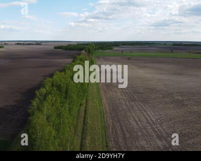 Due campi separati da una cintura forestale, vista aerea. Paesaggio agricolo. Foto Stock