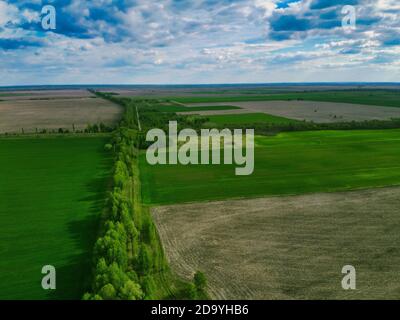 Due campi separati da una cintura forestale, vista aerea. Paesaggio agricolo. Foto Stock