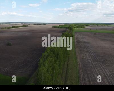 Due campi separati da una cintura forestale, vista aerea. Paesaggio agricolo. Foto Stock