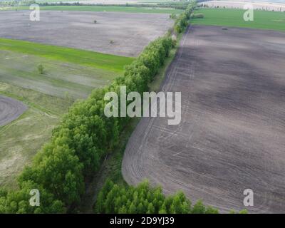 Due campi separati da una cintura forestale, vista aerea. Paesaggio agricolo. Foto Stock