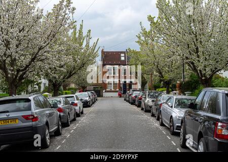 Tranquilla strada residenziale alberata, St Elmo Road, Londra W12 Foto Stock