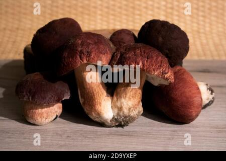 Un mucchio di nobili funghi boschivi boletus e berretto rosso il boletus che giace su una tavola di legno Foto Stock