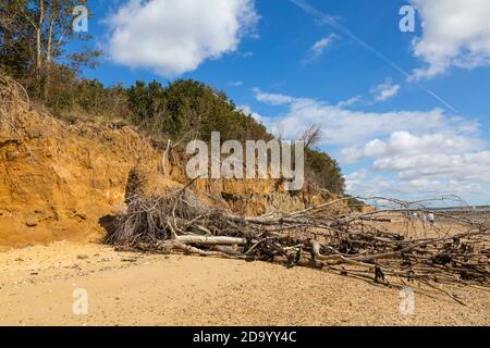 Erosione costiera da alti livelli del mare e tempeste Foto Stock