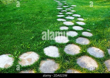 Passerella di ceppi di alberi su erba verde nel parco, fuoco selettivo, spazio di copia Foto Stock